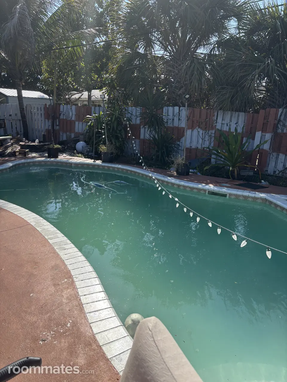 Profile photo 7 of 8