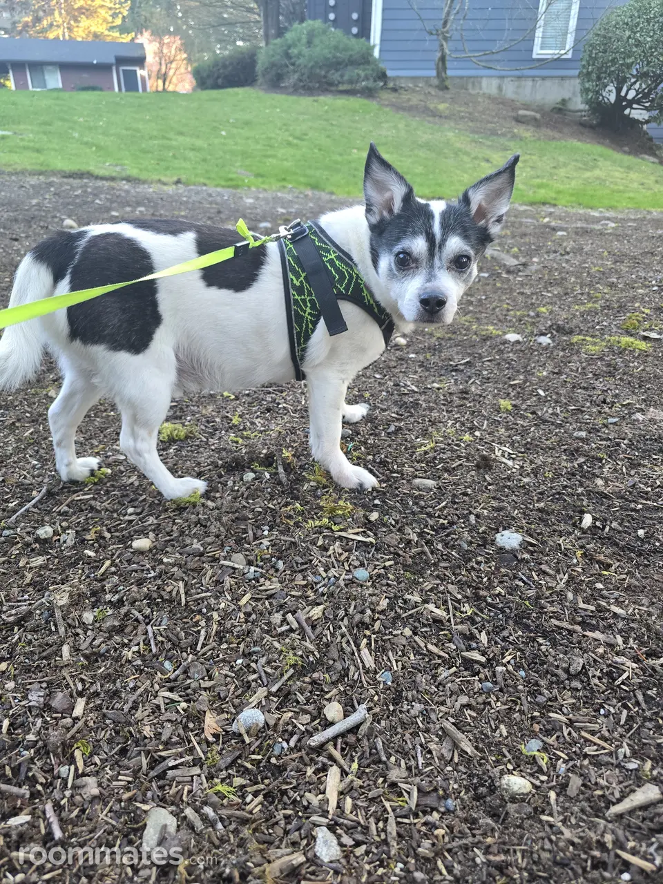 Profile photo 9 of 10