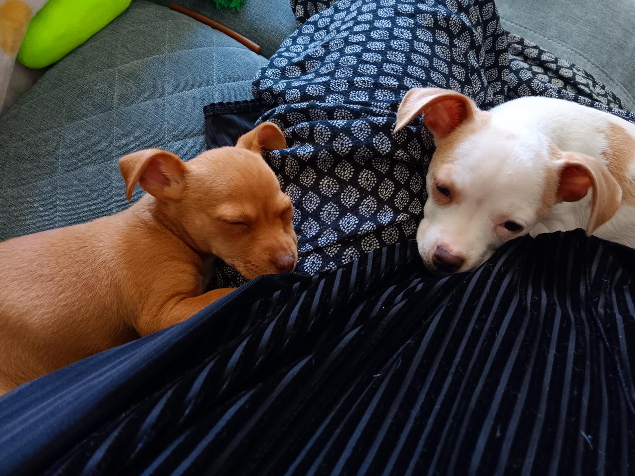 Profile photo 6 of 6