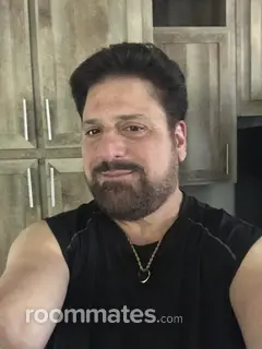 Roommate looking Ocean City, MD, $1000