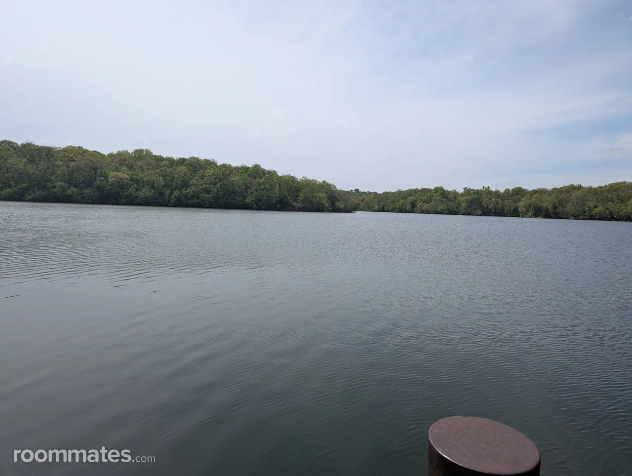 Profile photo 2 of 2