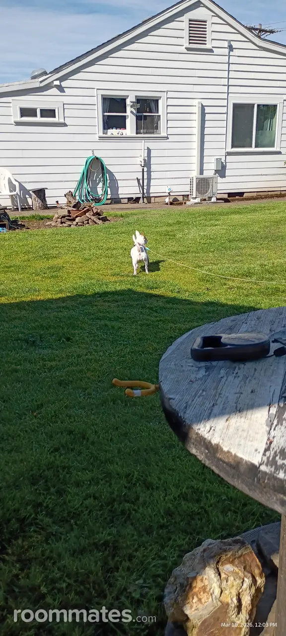 Profile photo 2 of 9