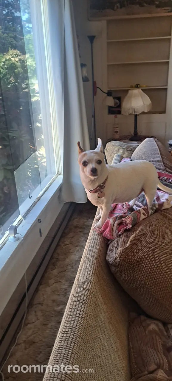 Profile photo 7 of 9