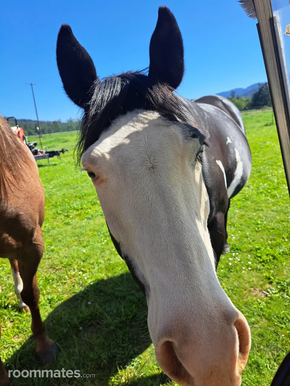 Profile photo 8 of 9