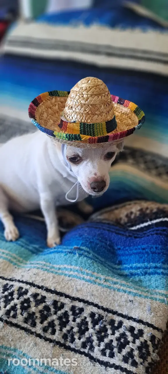 Profile photo 6 of 9