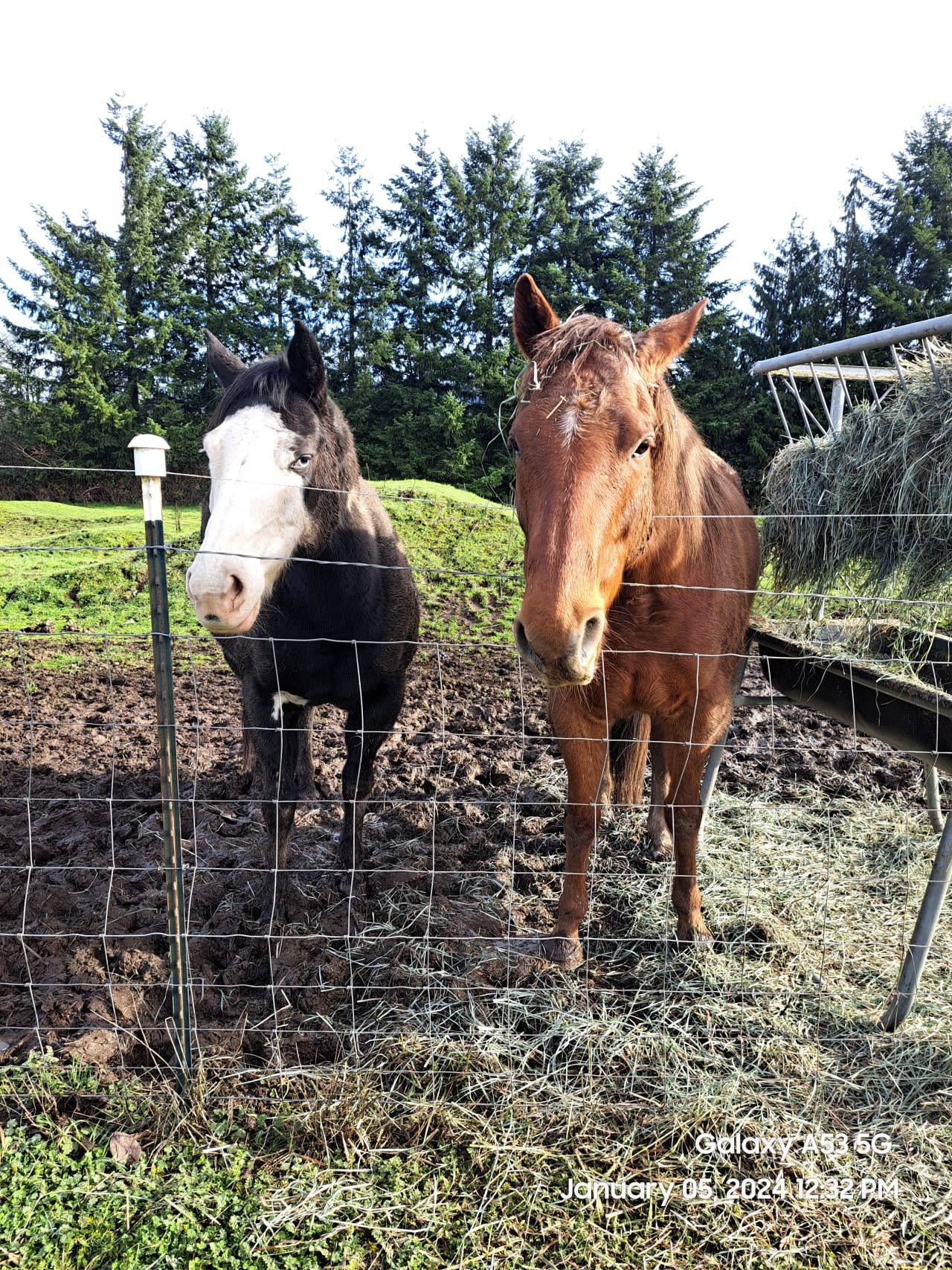 Profile photo 9 of 9