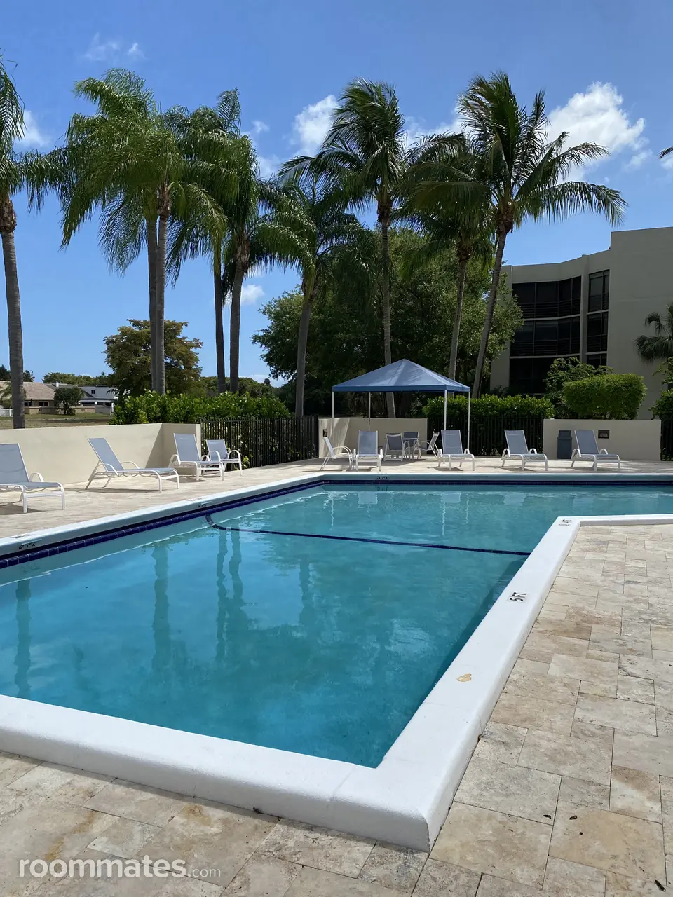 Profile photo 10 of 11