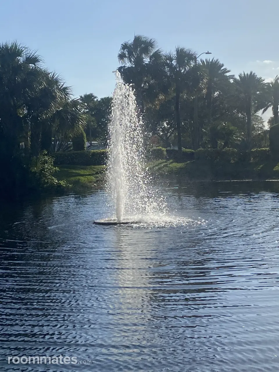 Profile photo 8 of 11