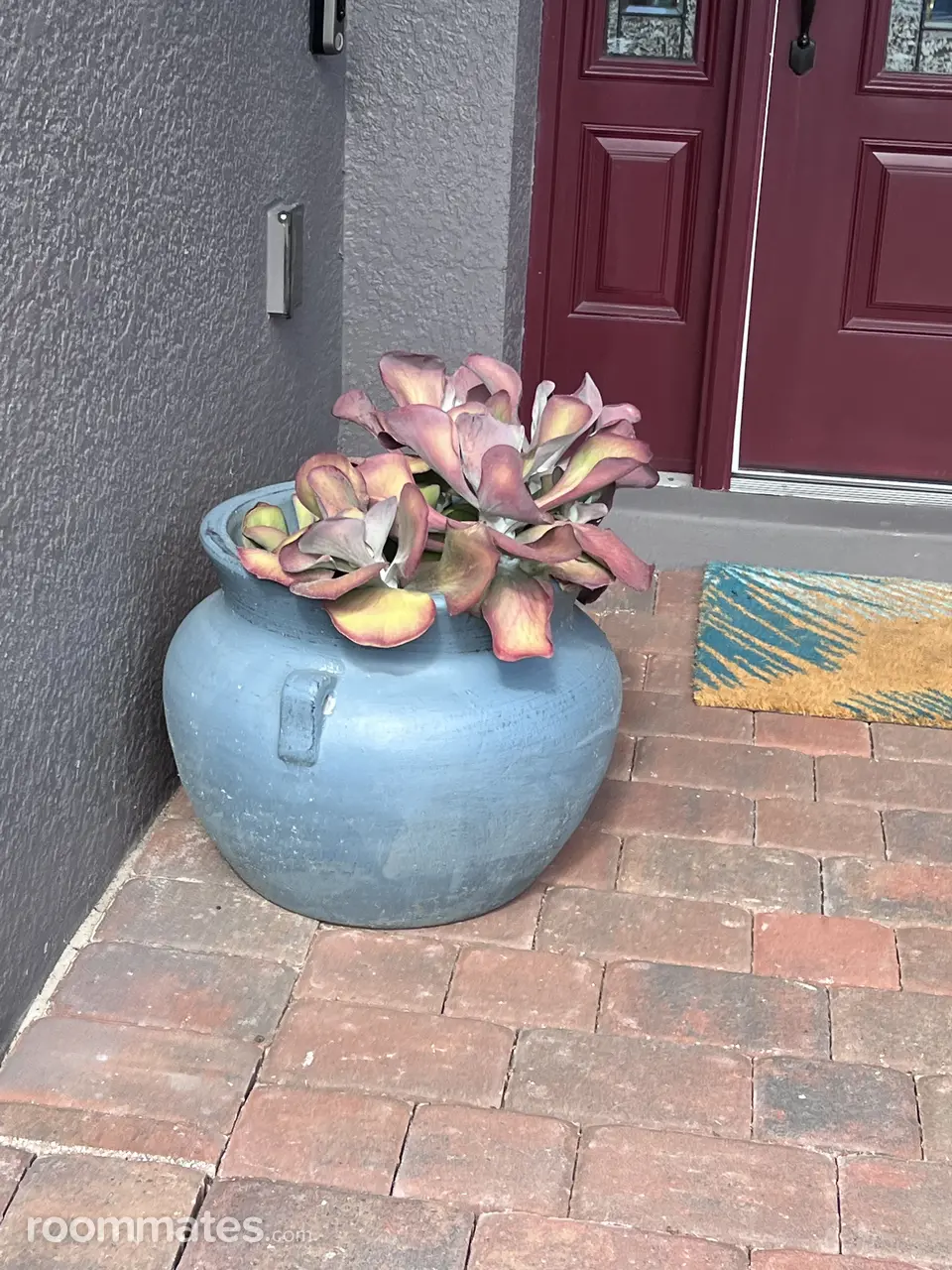 Profile photo 11 of 11