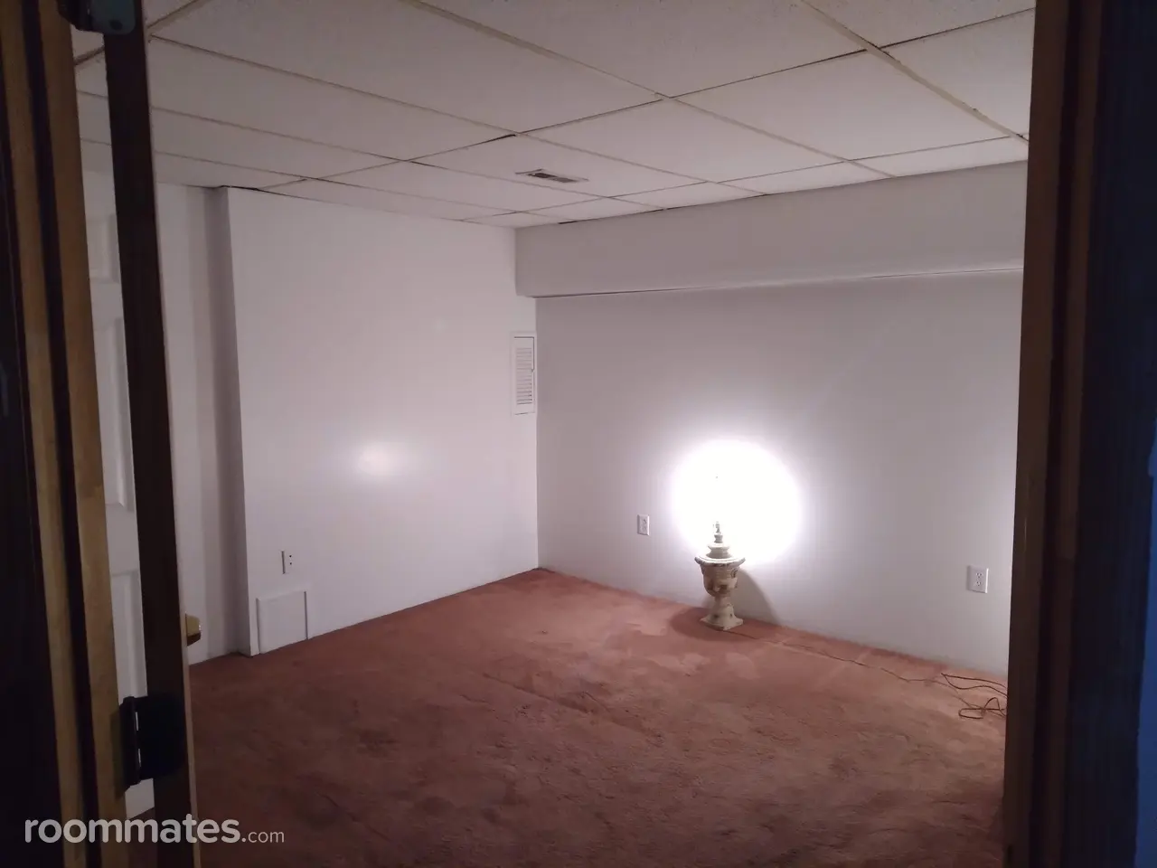 Profile photo 3 of 12