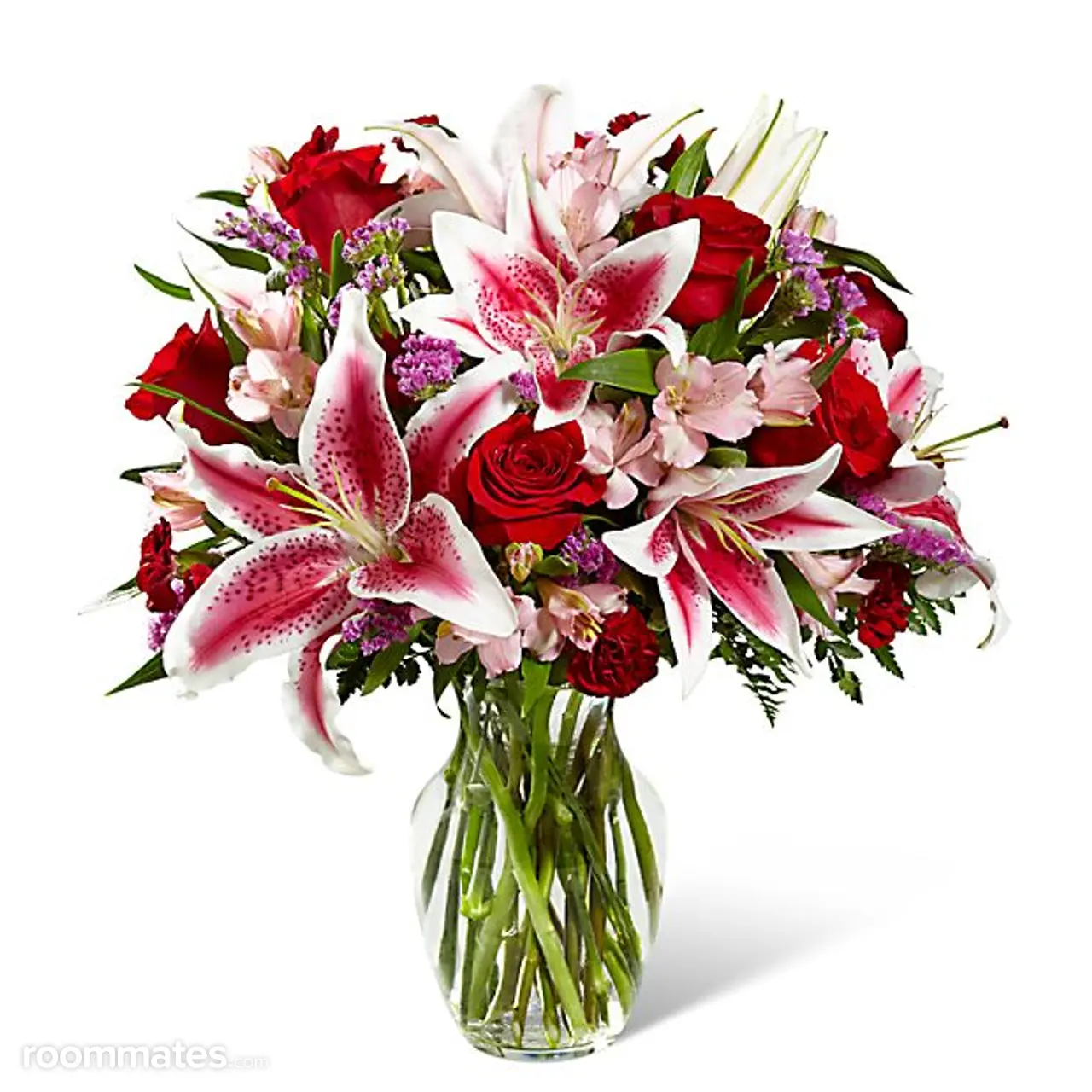 Profile photo 7 of 7