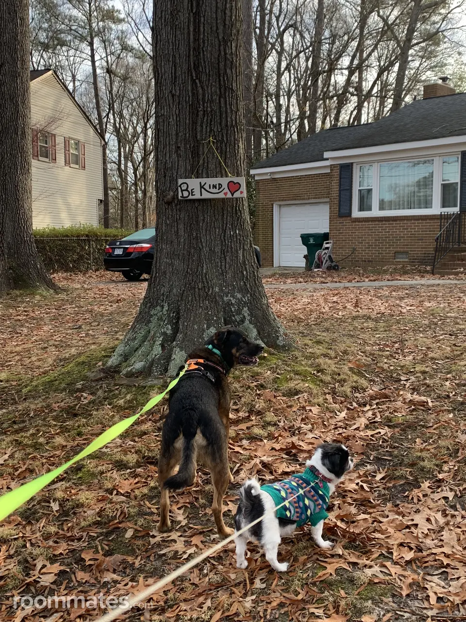 Profile photo 5 of 5