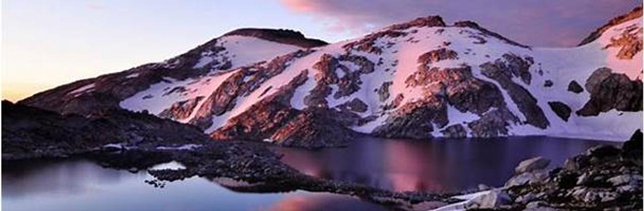 Profile photo 1 of 1