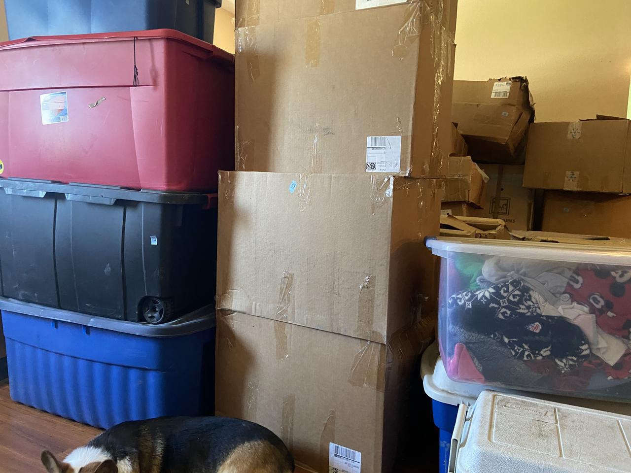 Profile photo 7 of 8