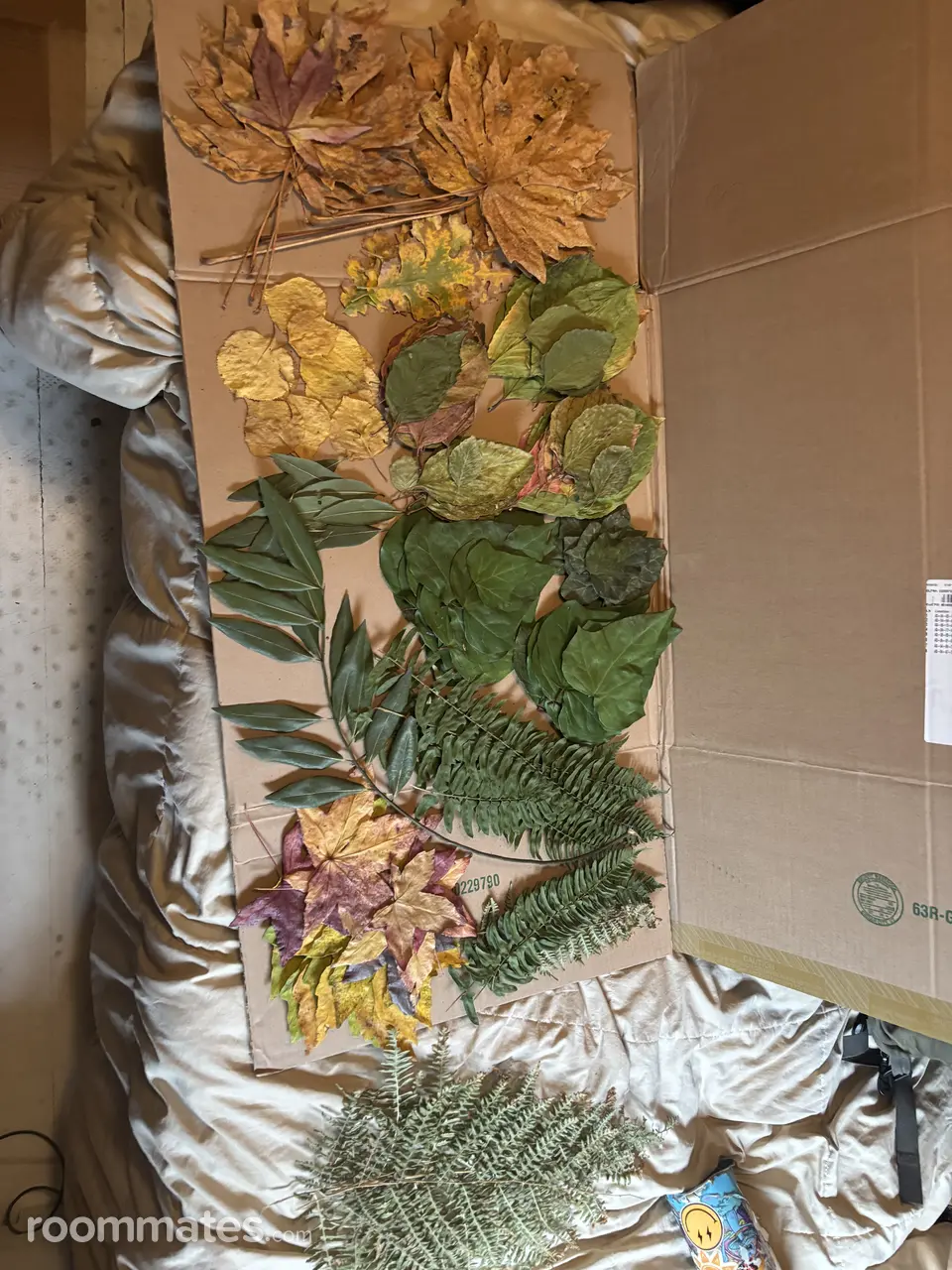 Profile photo 9 of 10