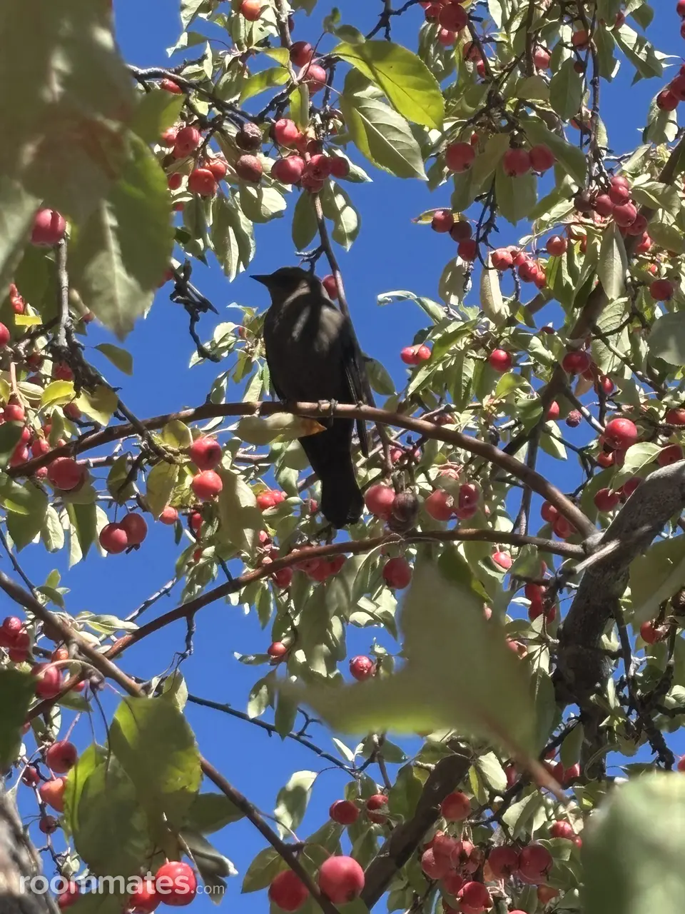 Profile photo 6 of 10