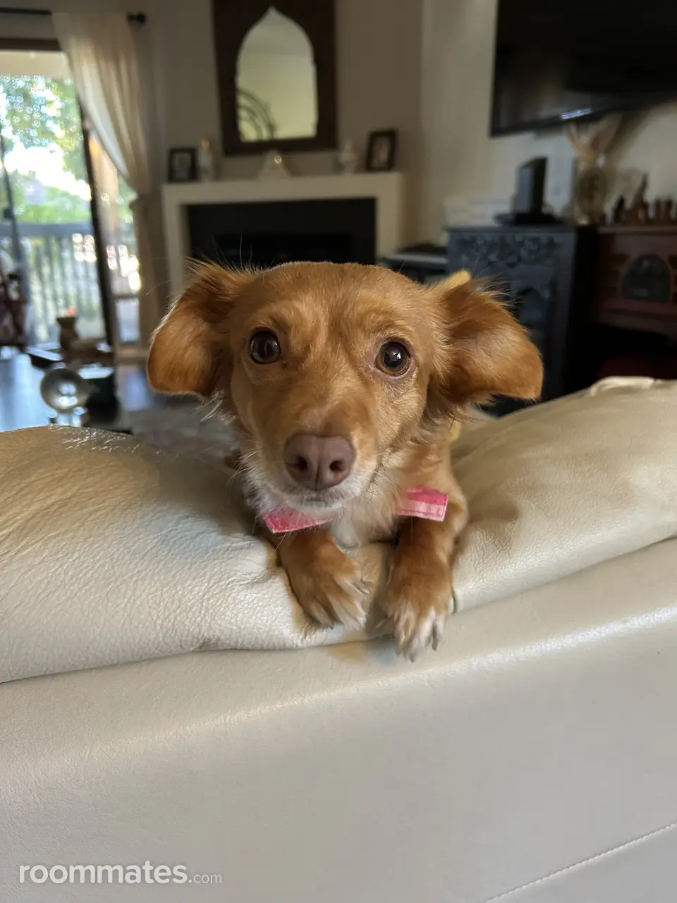 Profile photo 7 of 7