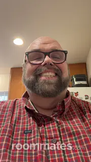 Roommate looking Saint Louis, MO, $800