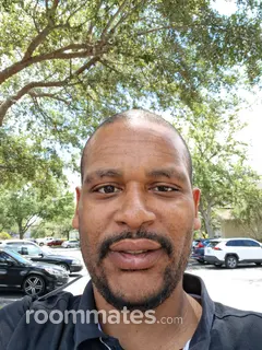 Roommate looking Brandon, FL, $600