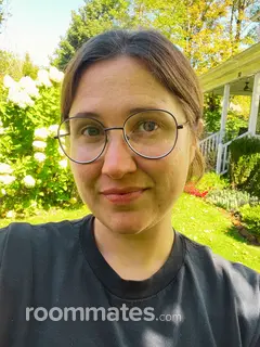 Roommate looking Albany, NY, $900