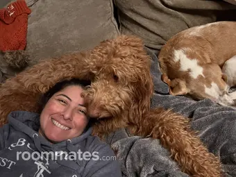 Roommate looking Jersey City, NJ, $1900