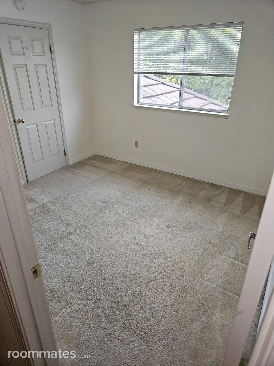 Profile photo 4 of 11