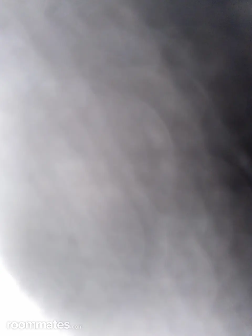 Profile photo 1 of 2