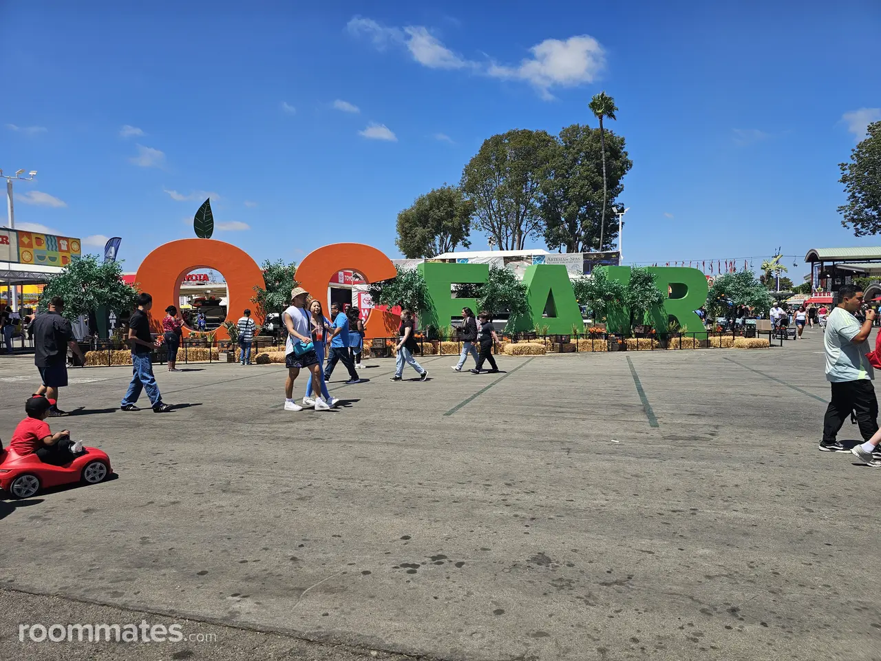 Profile photo 5 of 6