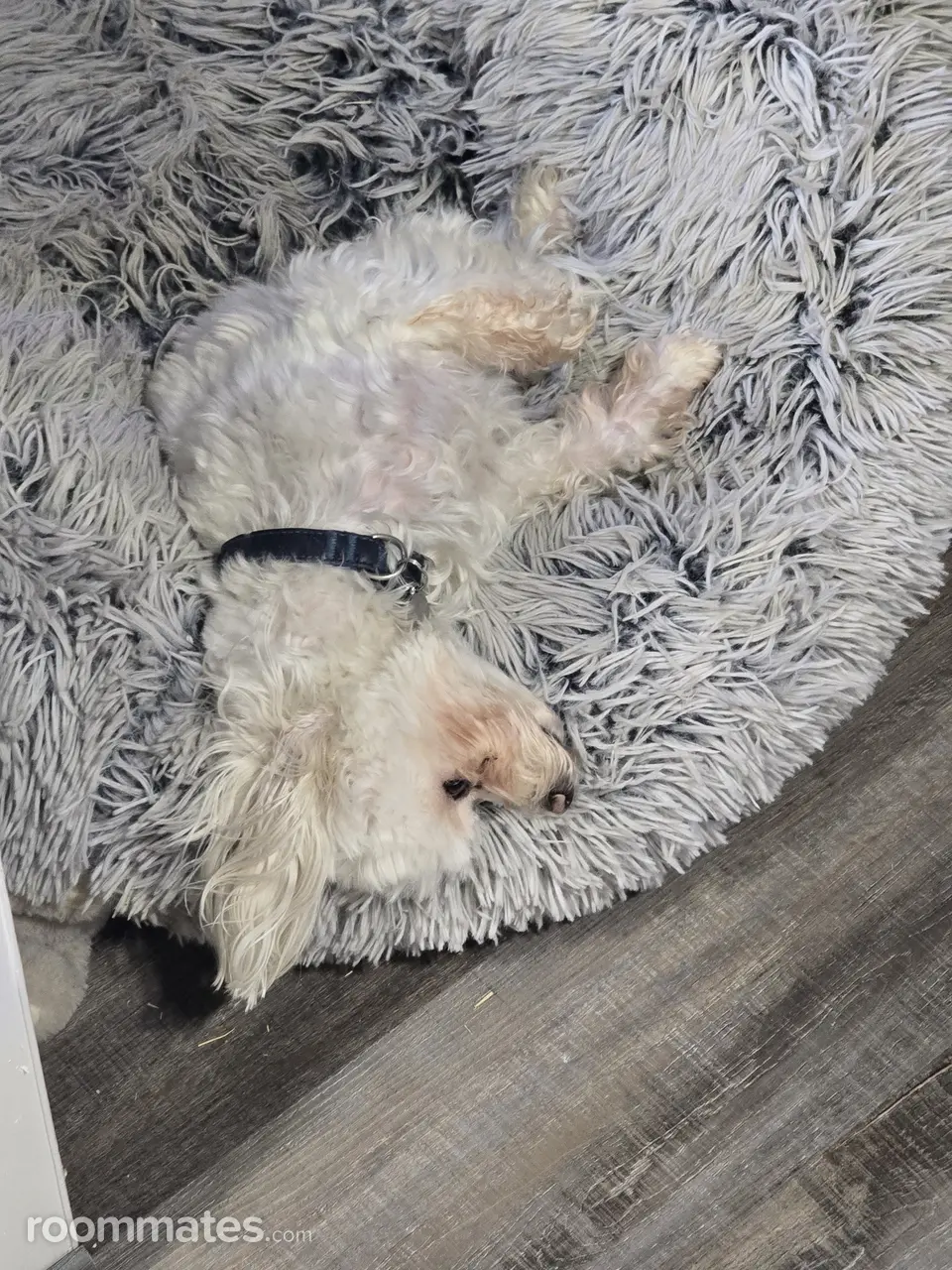 Profile photo 4 of 4