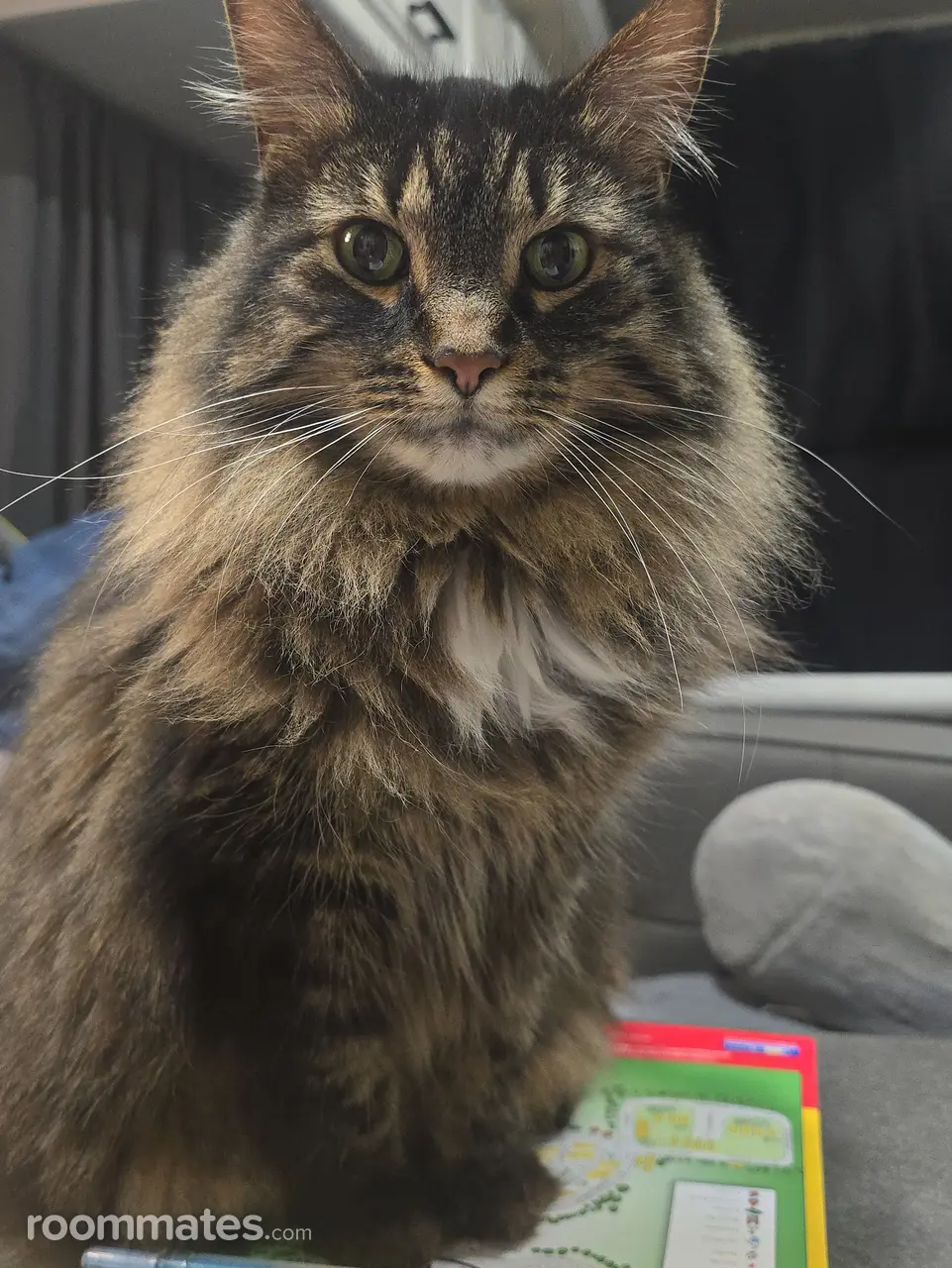 Profile photo 3 of 4