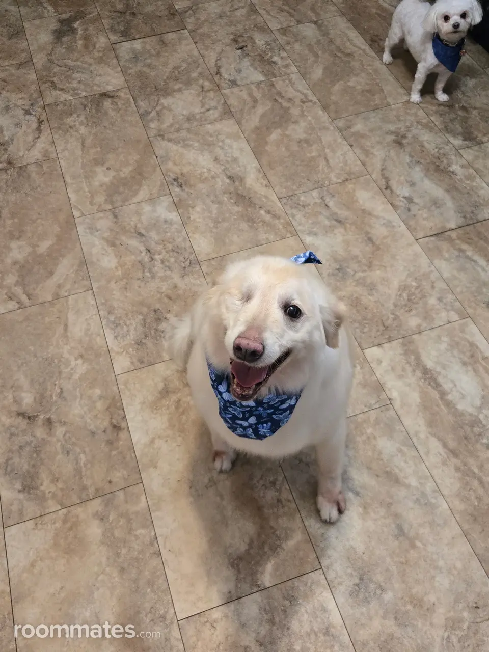 Profile photo 2 of 4