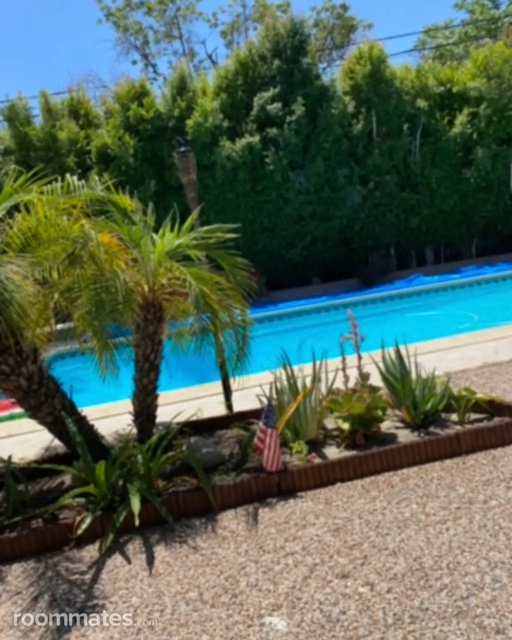 Profile photo 2 of 8