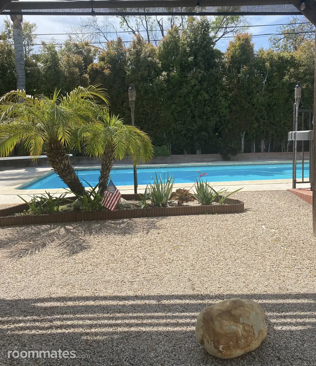 Profile photo 8 of 9