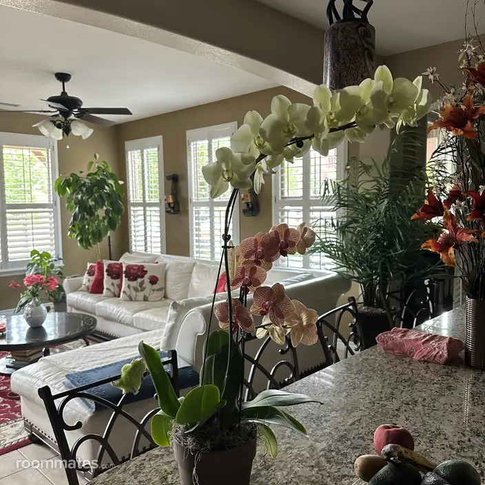 Room for rent in Highlands Ranch, CO $2000, townhouse