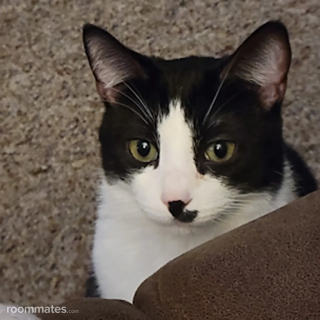 Profile photo 9 of 9