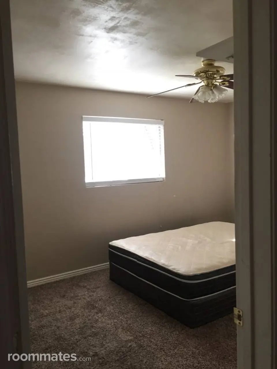 Profile photo 4 of 6