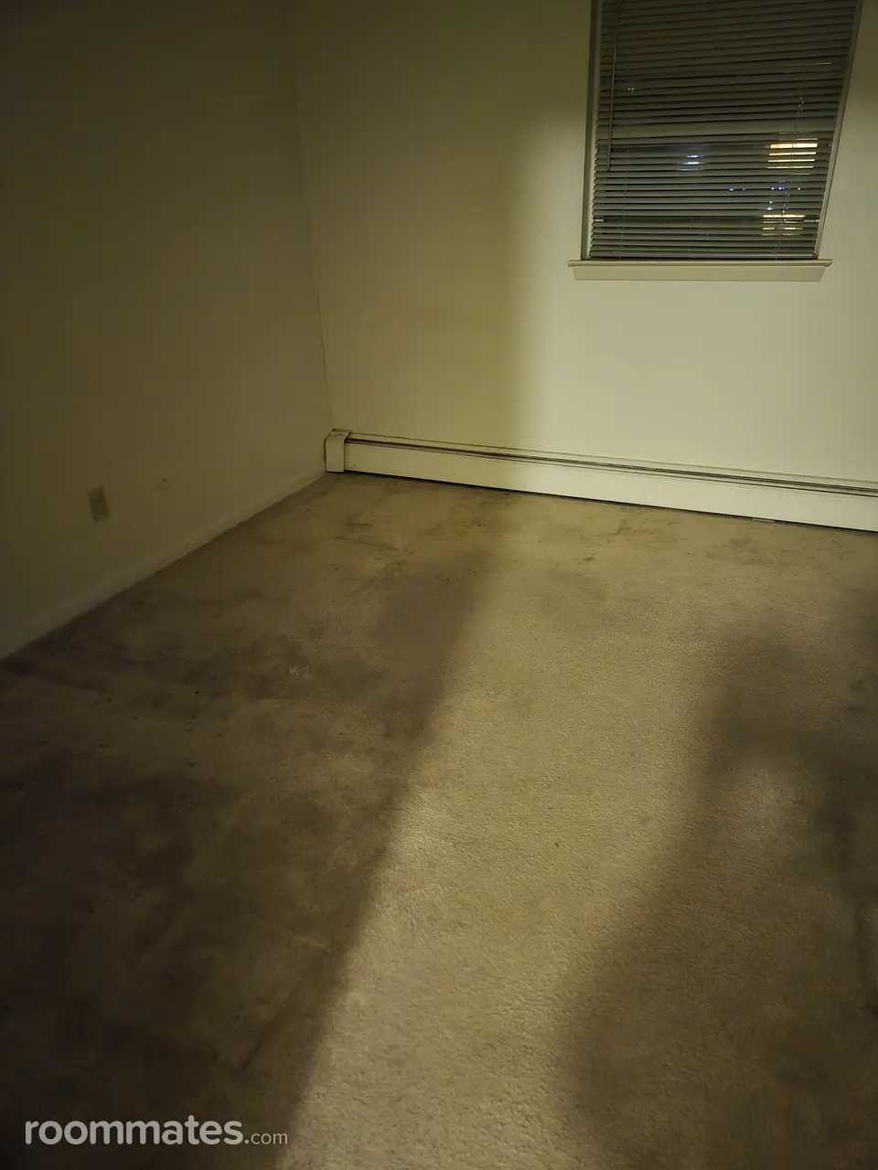 Profile photo 1 of 10