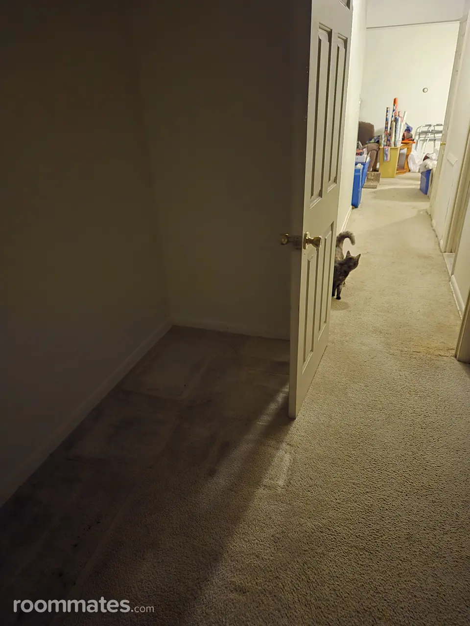 Profile photo 3 of 10