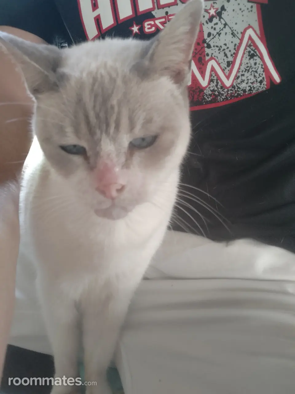 Profile photo 2 of 5