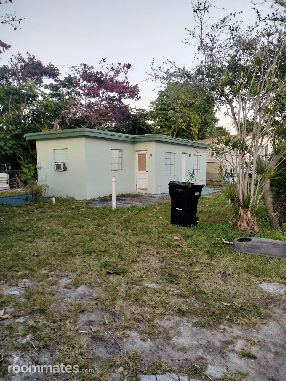 Profile photo 4 of 5