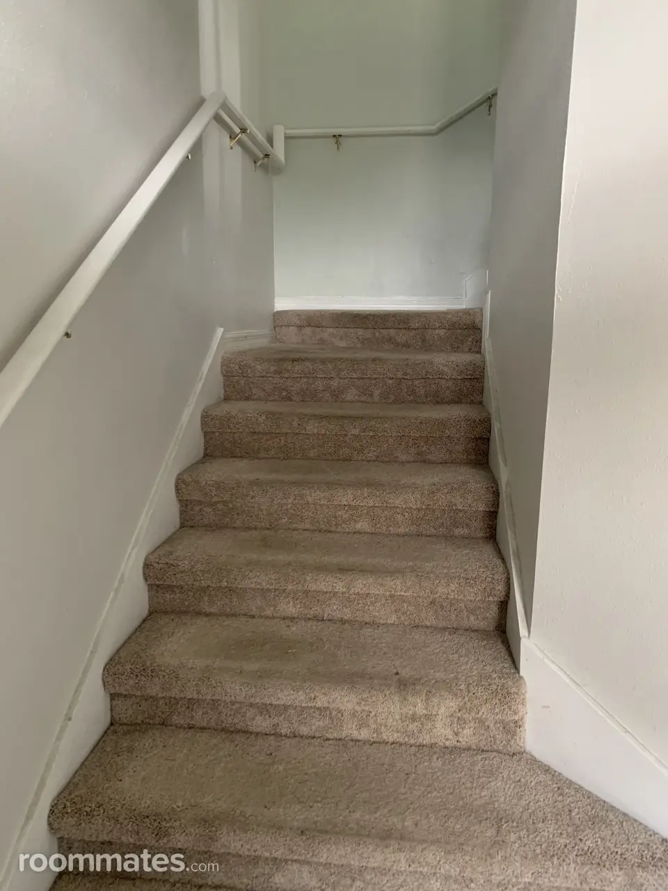 Profile photo 4 of 11