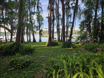 Room for rent in New Port Richey, FL $750, house