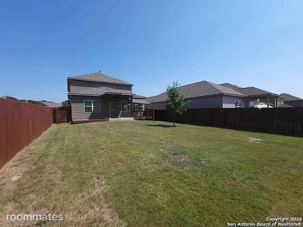 Profile photo 2 of 11