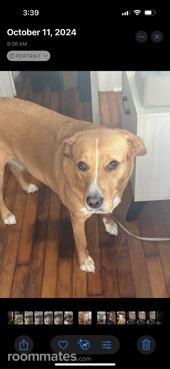 Profile photo 3 of 4