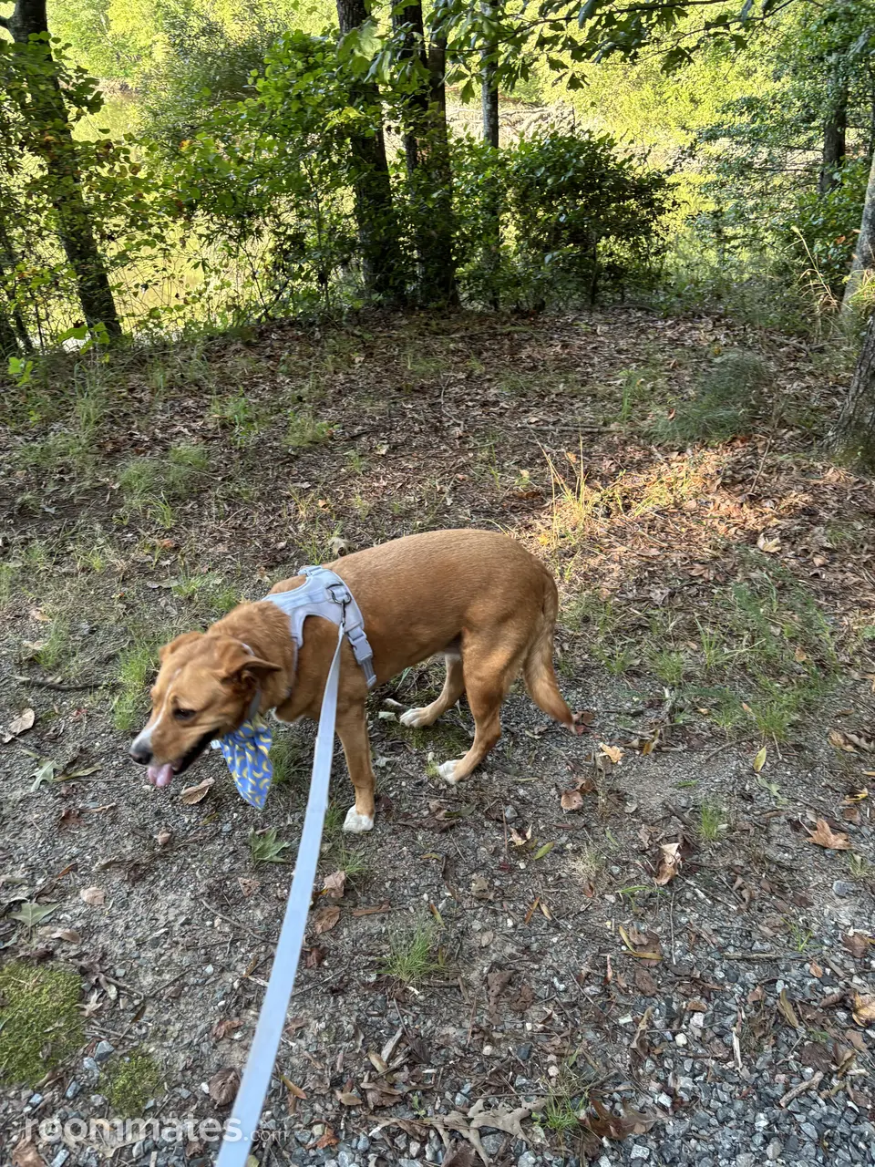 Profile photo 4 of 4