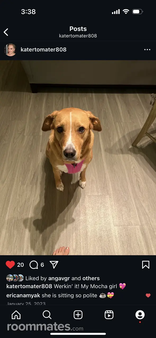 Profile photo 2 of 4