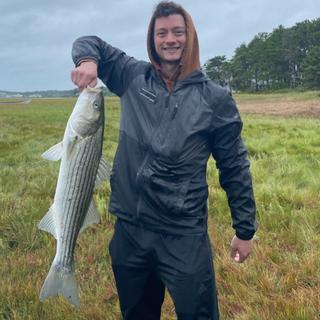Roommate looking Dover, NH, Dover, NH, $1000