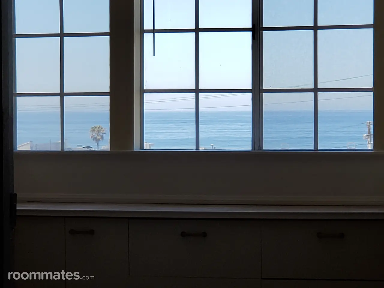 Profile photo 7 of 13