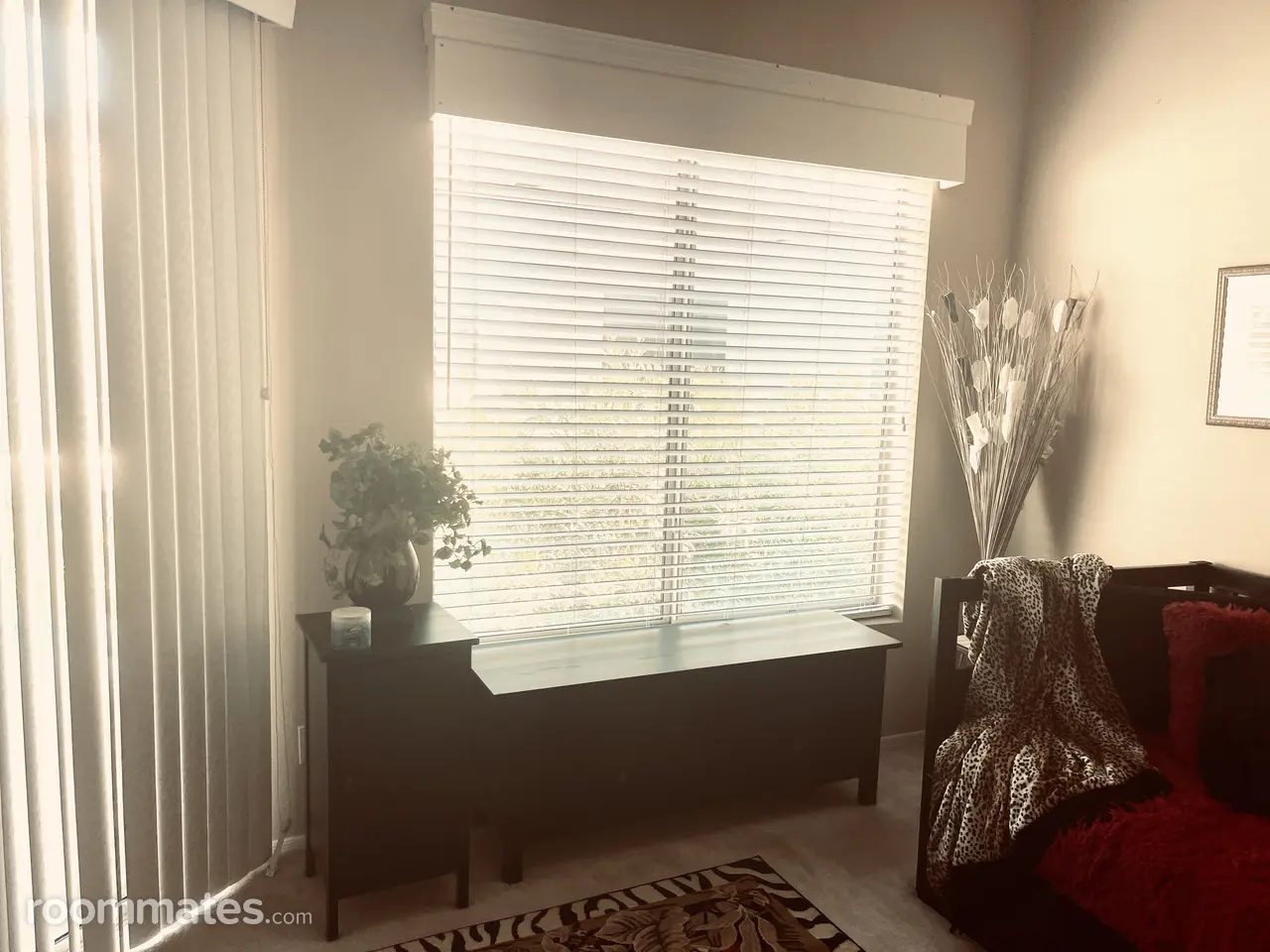 Profile photo 9 of 15