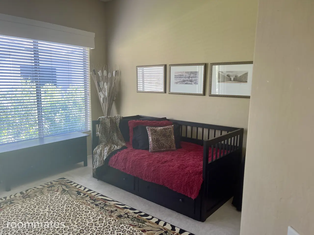 Profile photo 7 of 15